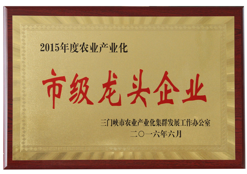 市級(jí)龍頭企業(yè)